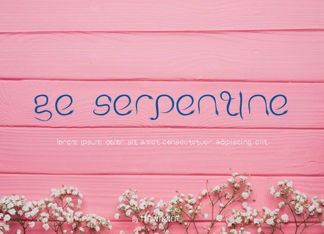 GE Serpentine example