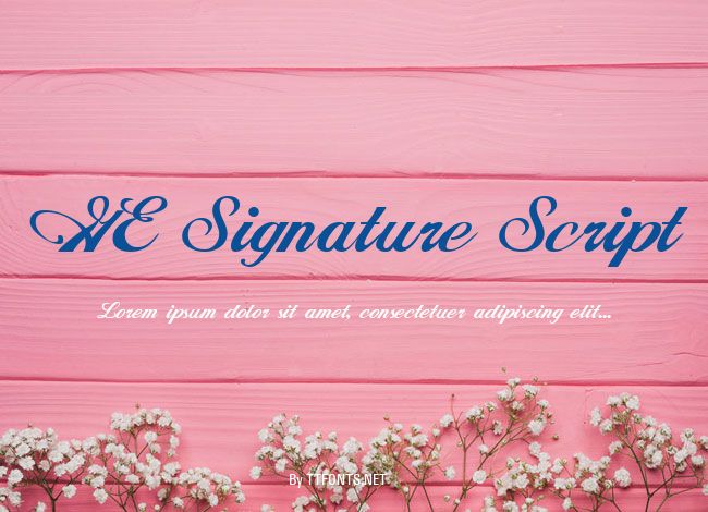 GE Signature Script example