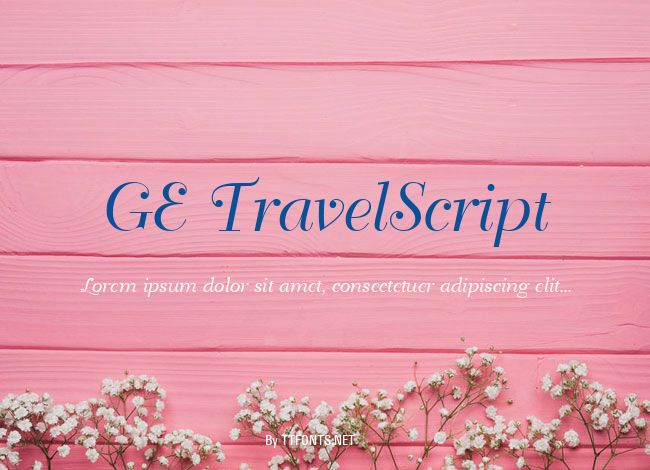 GE TravelScript example