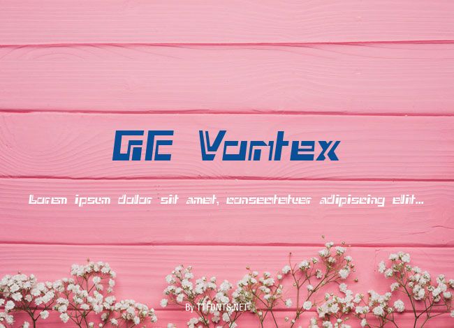 GE Vortex example