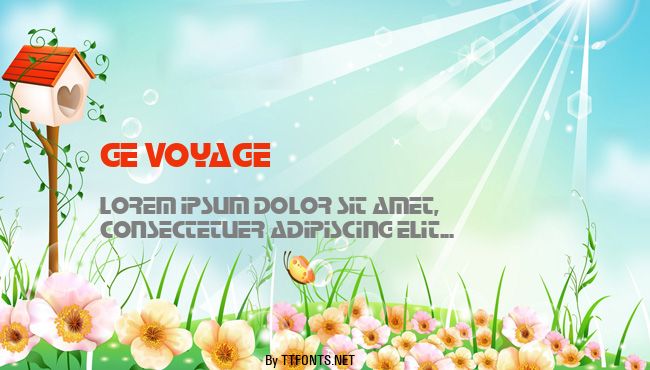 GE Voyage example
