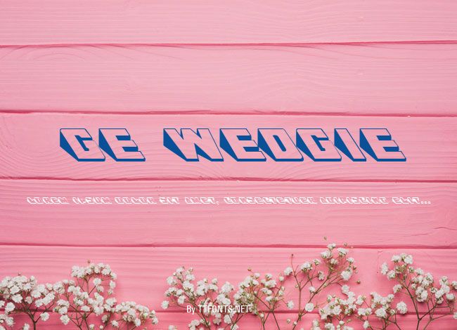GE Wedgie example