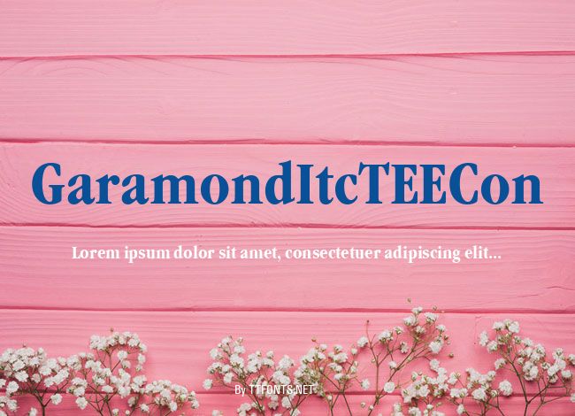 GaramondItcTEECon example