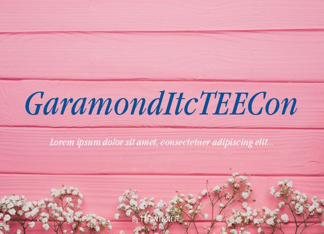 GaramondItcTEECon example