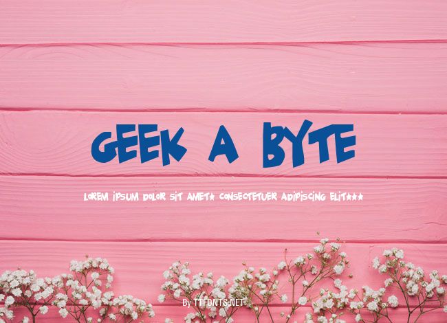 Geek a byte example