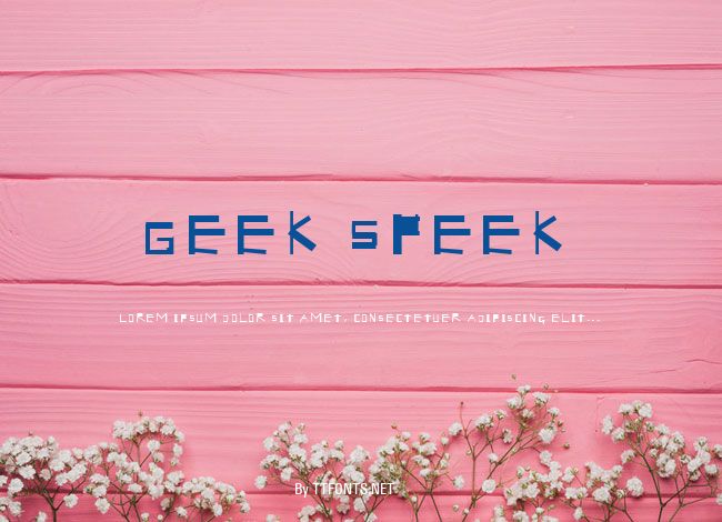 Geek Speek example