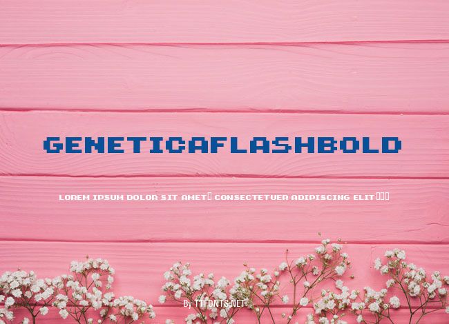 GeneticaFlashBold example
