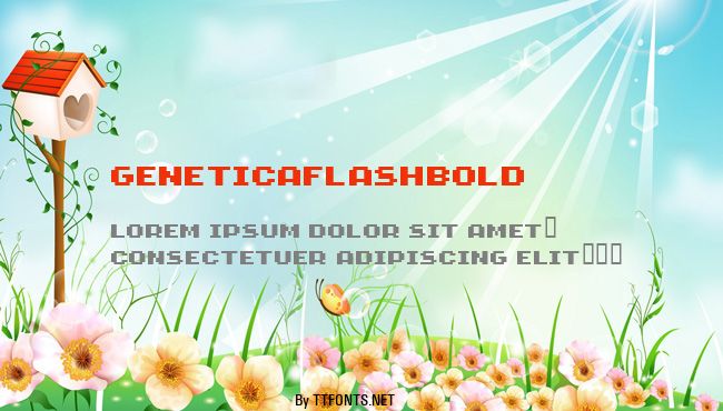 GeneticaFlashBold example