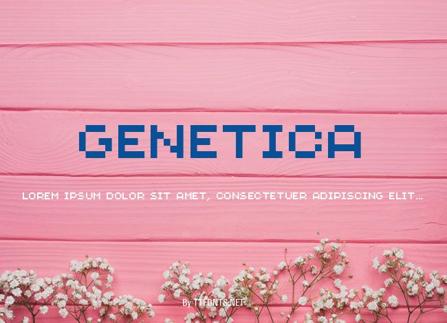 Genetica example