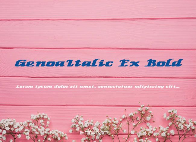 GenoaItalic Ex Bold example