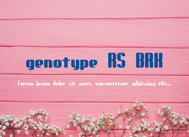 genotype RS BRK example
