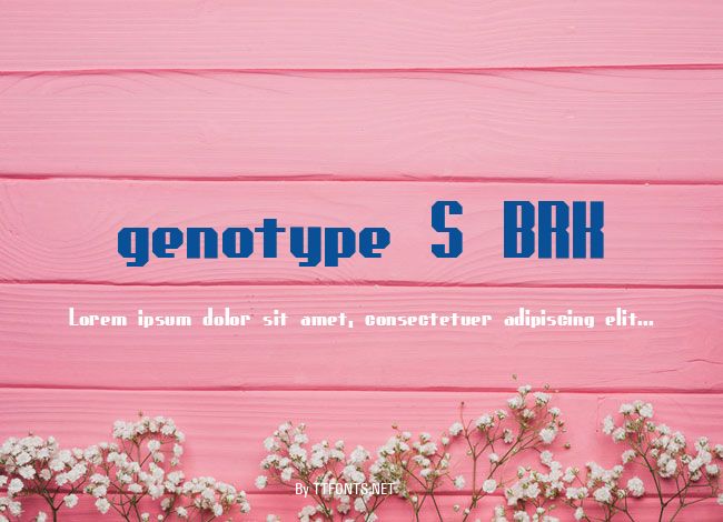 genotype S BRK example