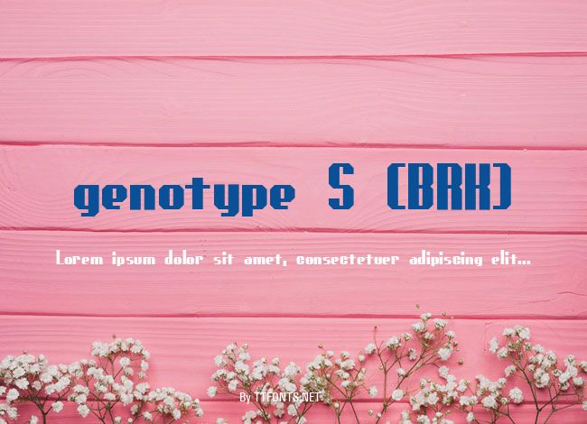 genotype S (BRK) example