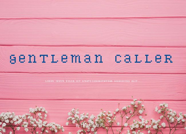 Gentleman Caller example