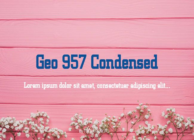Geo 957 Condensed example