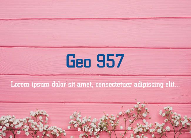 Geo 957 example