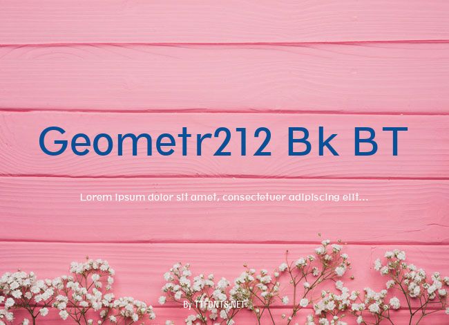 Geometr212 Bk BT example