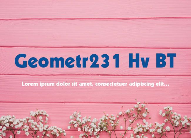 Geometr231 Hv BT example