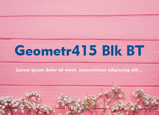 Geometr415 Blk BT example