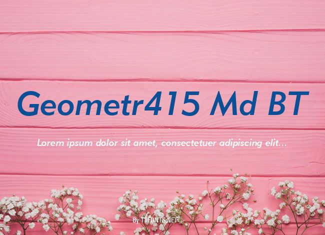 Geometr415 Md BT example
