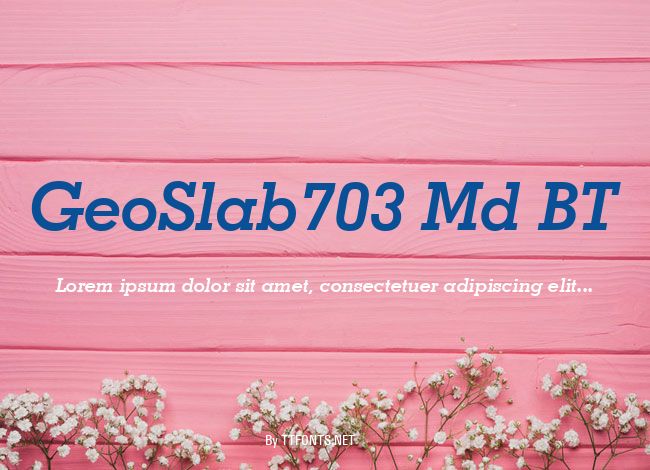 GeoSlab703 Md BT example