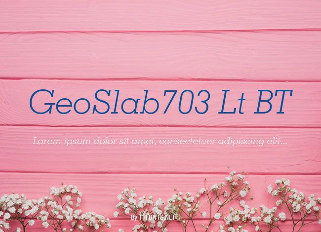 GeoSlab703 Lt BT example