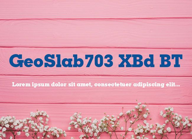 GeoSlab703 XBd BT example