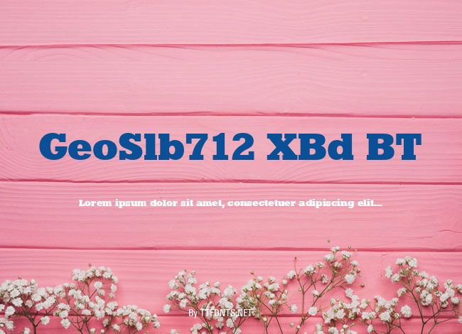 GeoSlb712 XBd BT example