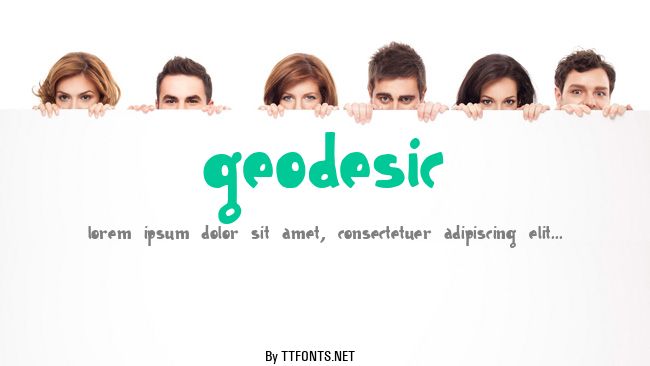 Geodesic example