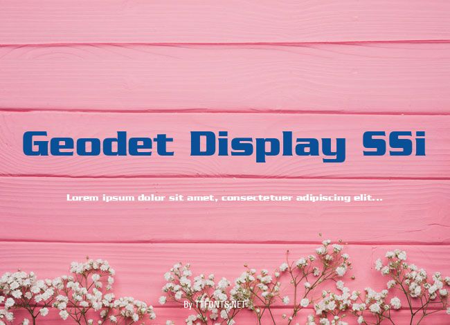 Geodet Display SSi example