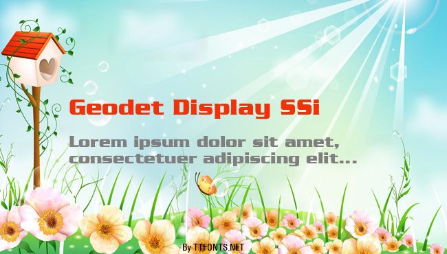 Geodet Display SSi example