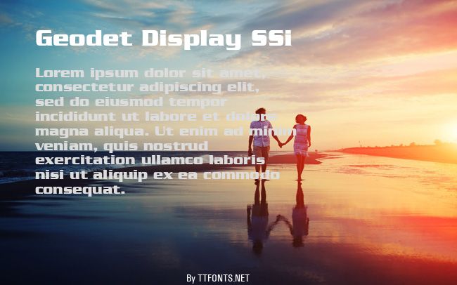 Geodet Display SSi example