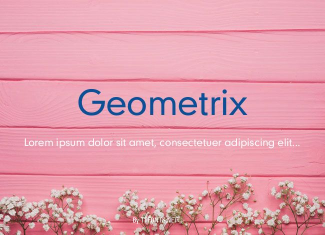 Geometrix example