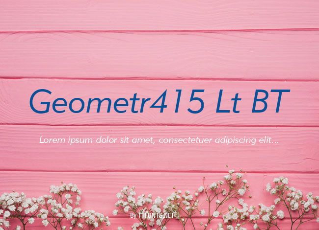 Geometr415 Lt BT example