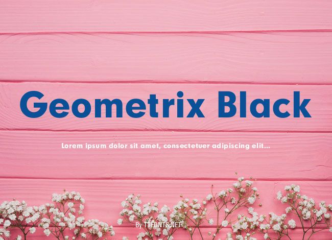 Geometrix Black example