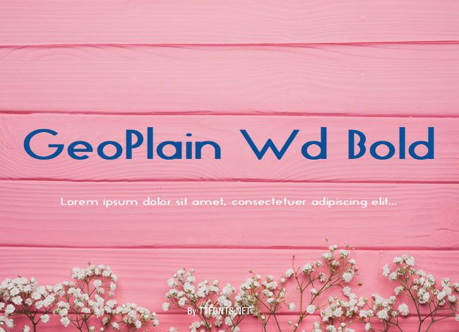 GeoPlain Wd Bold example