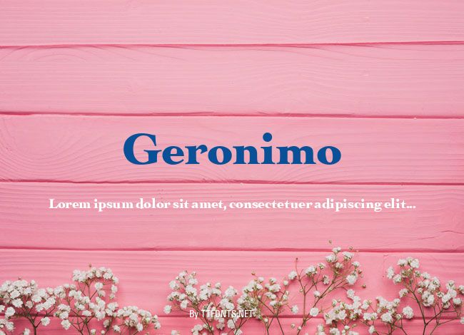Geronimo example
