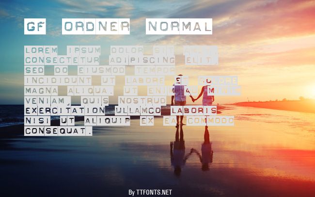 GF Ordner Normal example