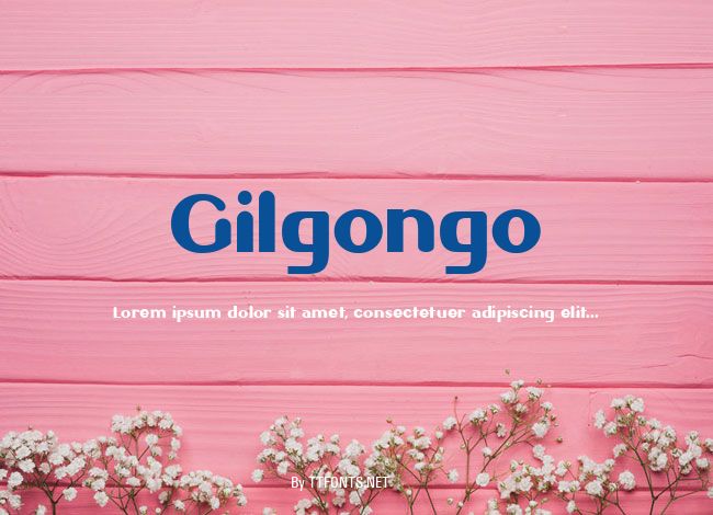 Gilgongo example