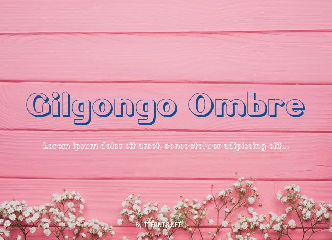 Gilgongo Ombre example