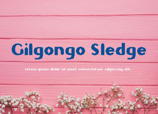 Gilgongo Sledge example