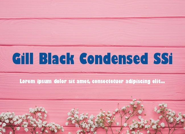 Gill Black Condensed SSi example