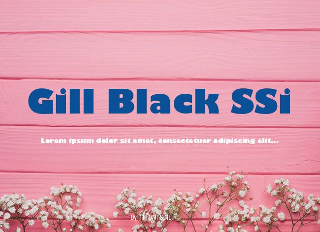Gill Black SSi example