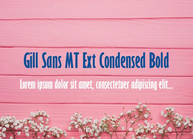 Gill Sans MT Ext Condensed Bold example