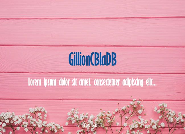 GillionCBlaDB example