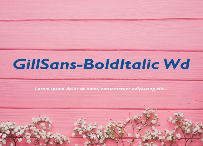 GillSans-BoldItalic Wd example