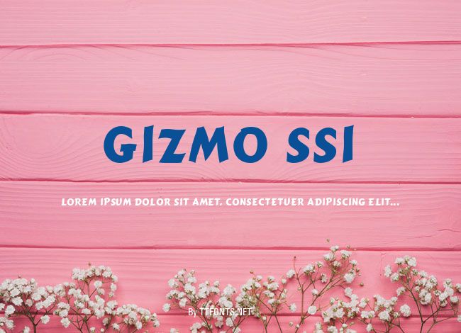 Gizmo SSi example