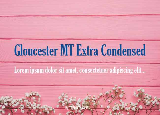 Gloucester MT Extra Condensed example