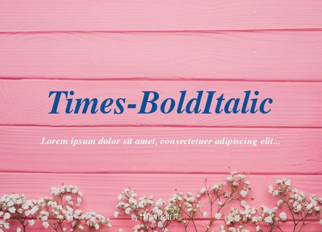 Times-BoldItalic example