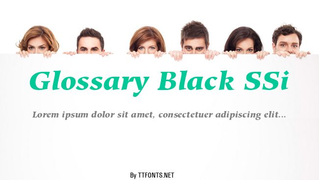 Glossary Black SSi example